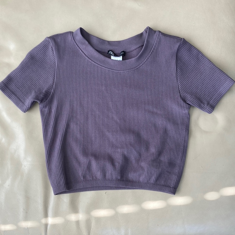Zara Crop Top